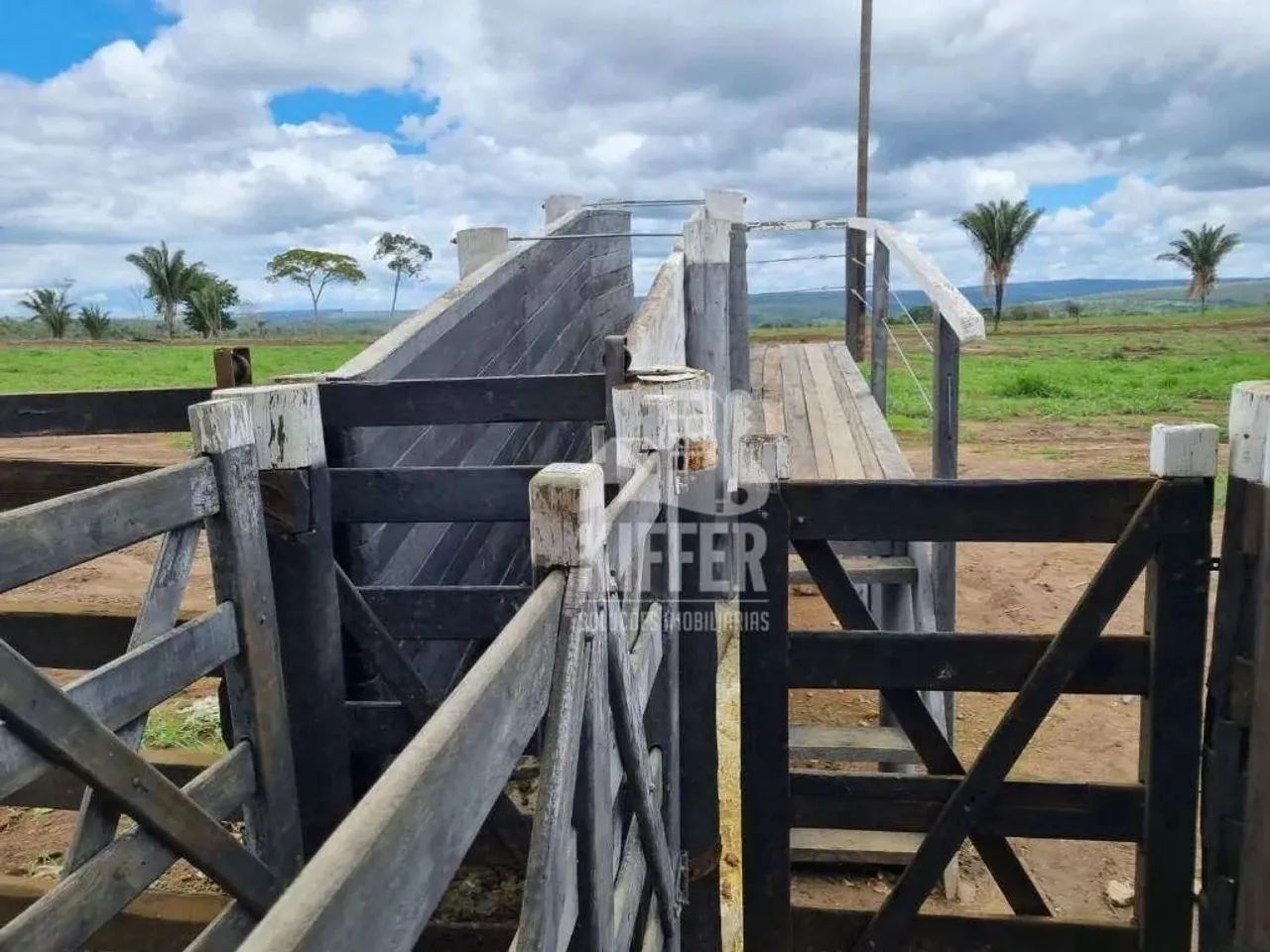 Fazenda com 6 dormitórios à venda,  m² por R$ 62.000.000,00 - Zona Rural - Campos Altos/MG - Foto 6