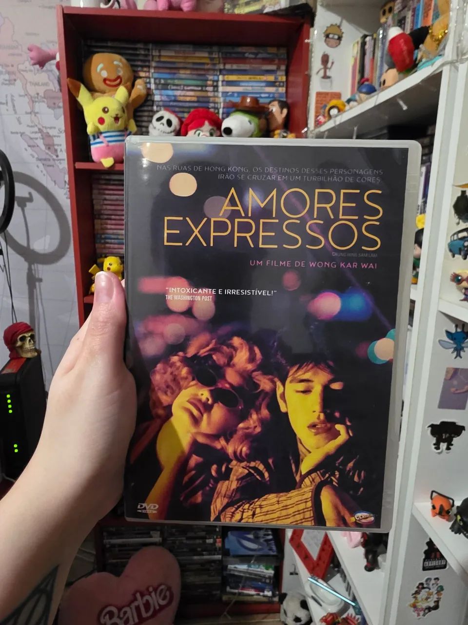 DVD Amores Expressos
