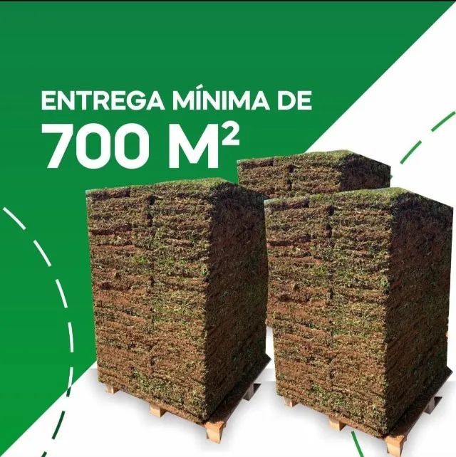 Grama Em Oferta