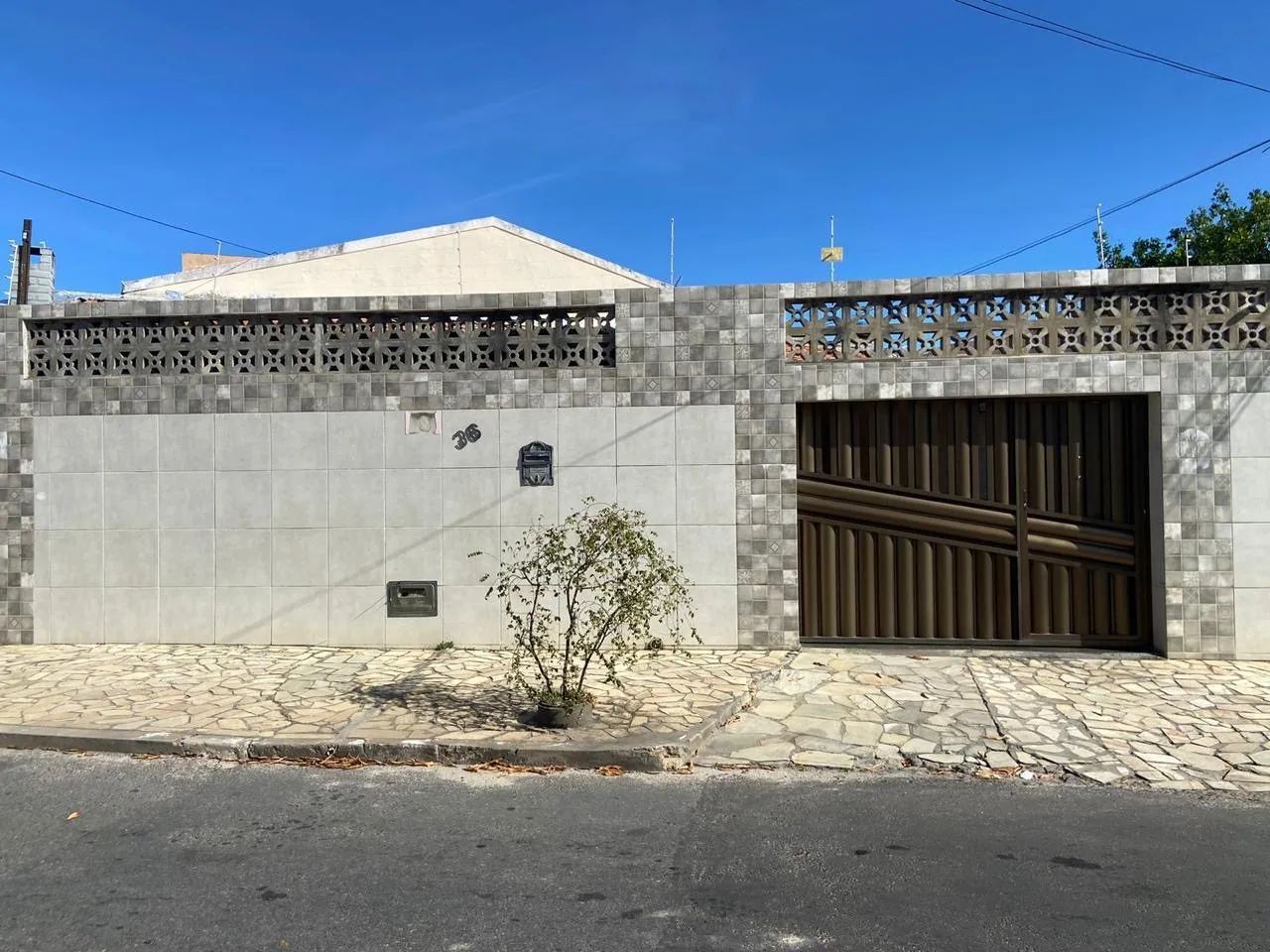 foto - Aracaju - Jabotiana