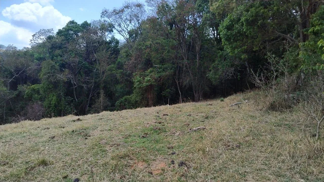 Terreno Bueno Brandão  - Foto 5