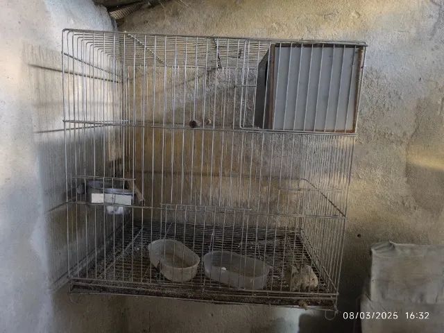 Vendo gaiolas usadas  - Foto 4