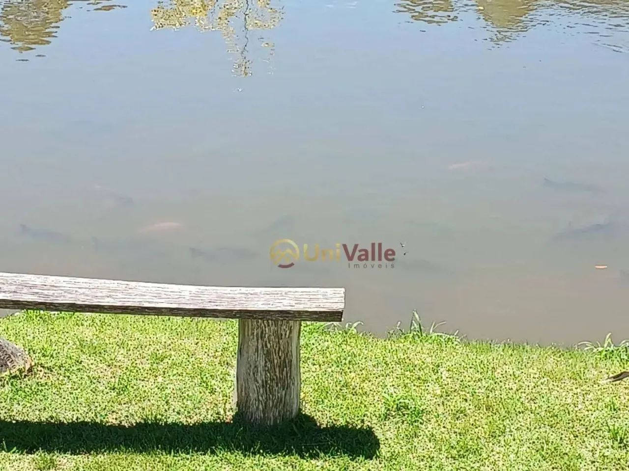 Chácara com 3 dormitórios à venda, 5000 m² por R$ 500.000,00 - Cachoeira Grande - Lagoinha - Foto 5
