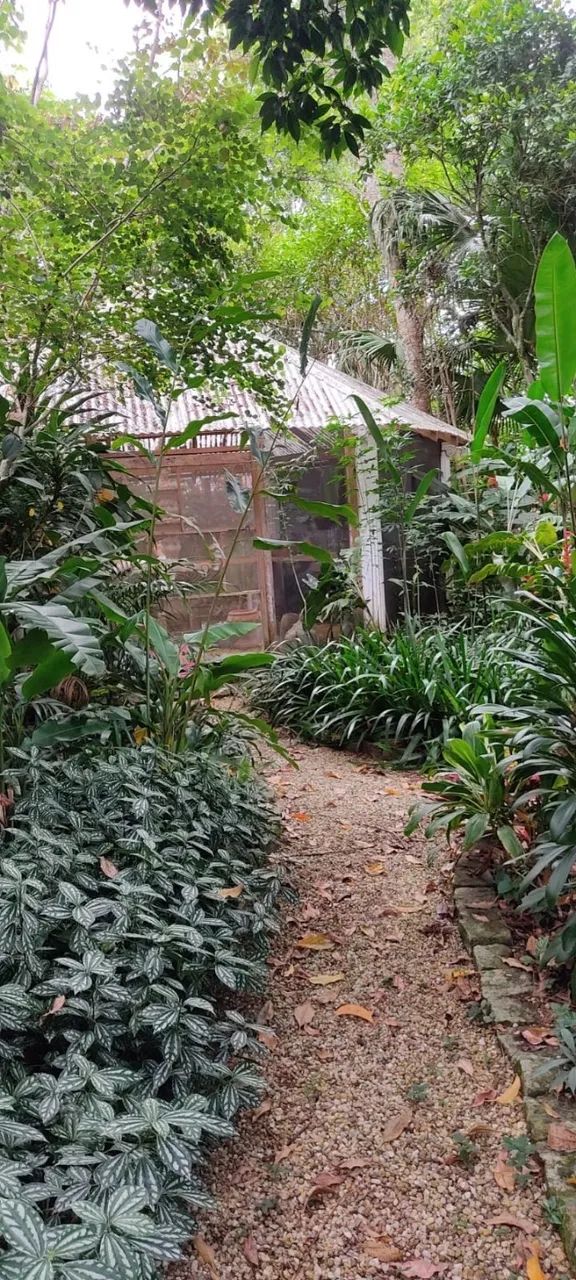 Sítio (Chácara) em Palhoça - Foto 3