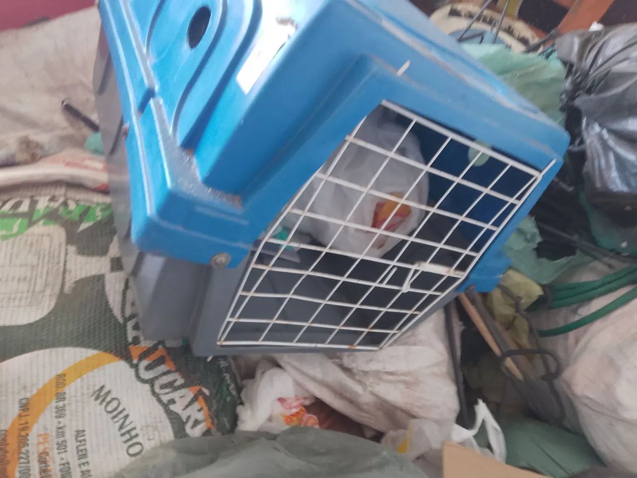 Caixa de cachorro grande 64651273141121121