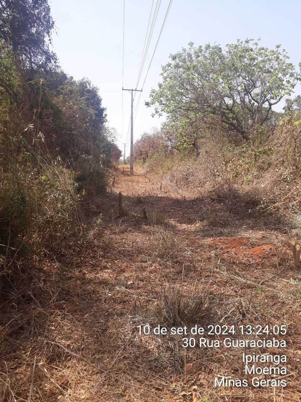 CAPINAS e  limpeza de lotes e grandes áreas. - Foto 4