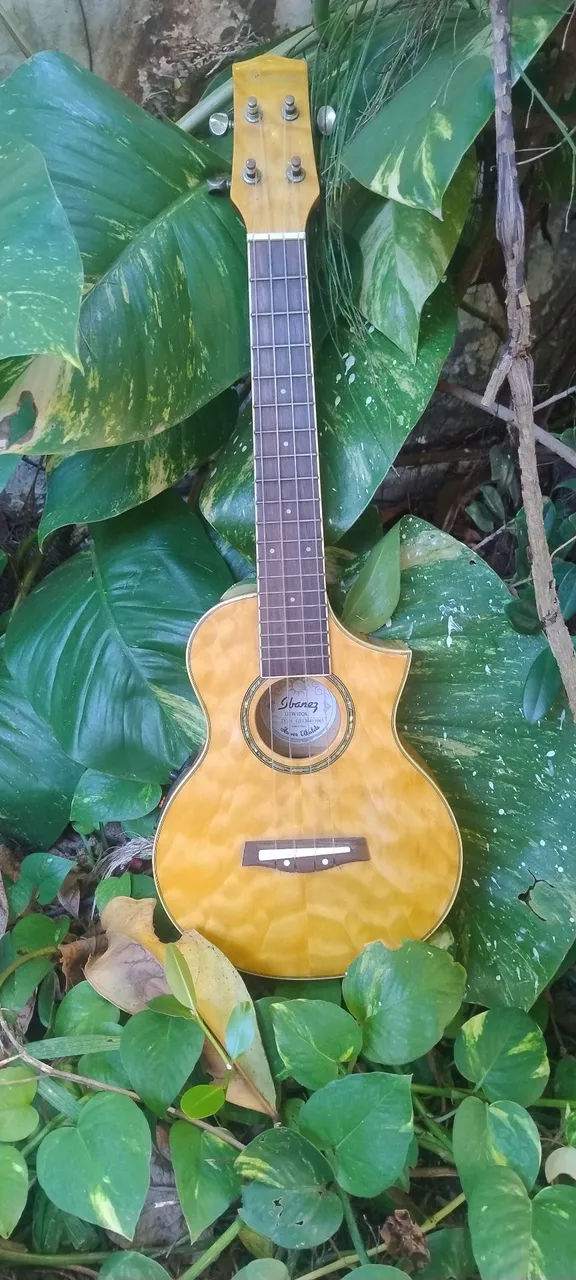 Ukulele Ibanez - pechincha