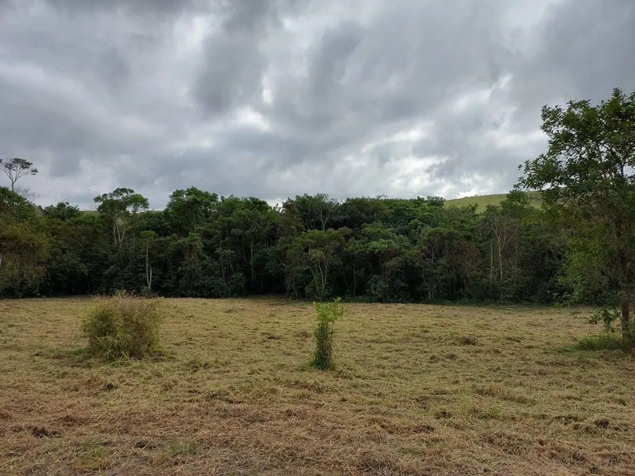 Granja (Bairro Grama, Juiz de Fora, MG) - Foto 4