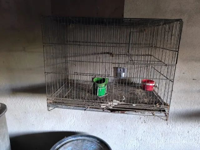 Vendo gaiolas usadas  - Foto 3