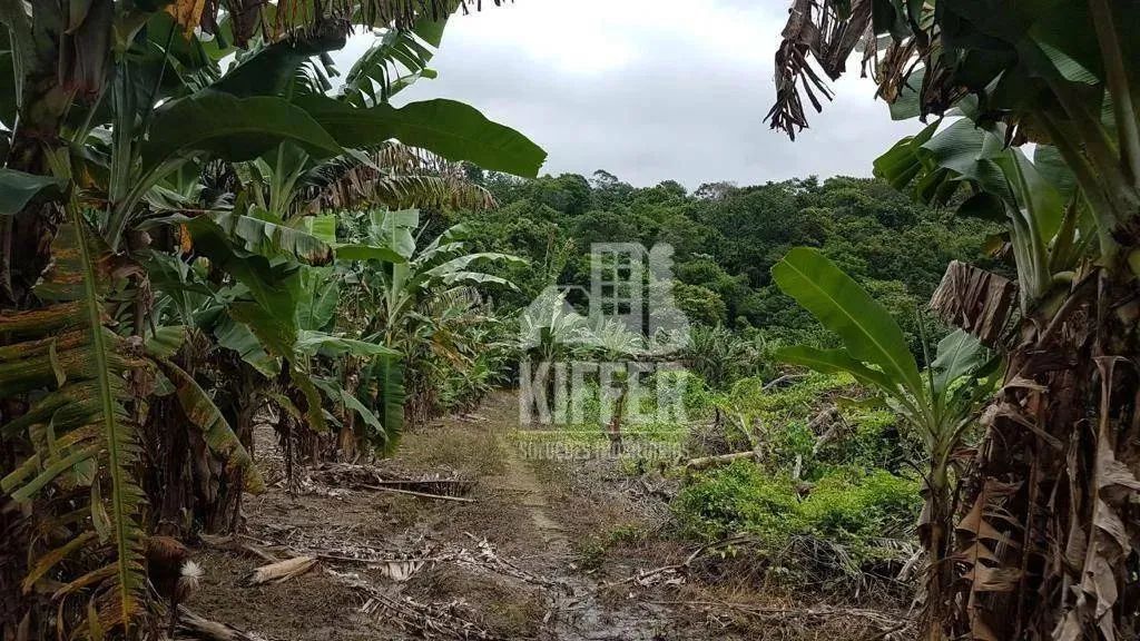 Fazenda à venda, 840281 m² por R$ 4.500.000,00 - Mazomba - Itaguaí/RJ - Foto 8