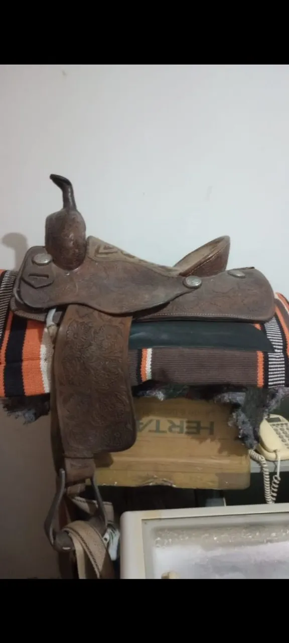 vendo sela nogueira