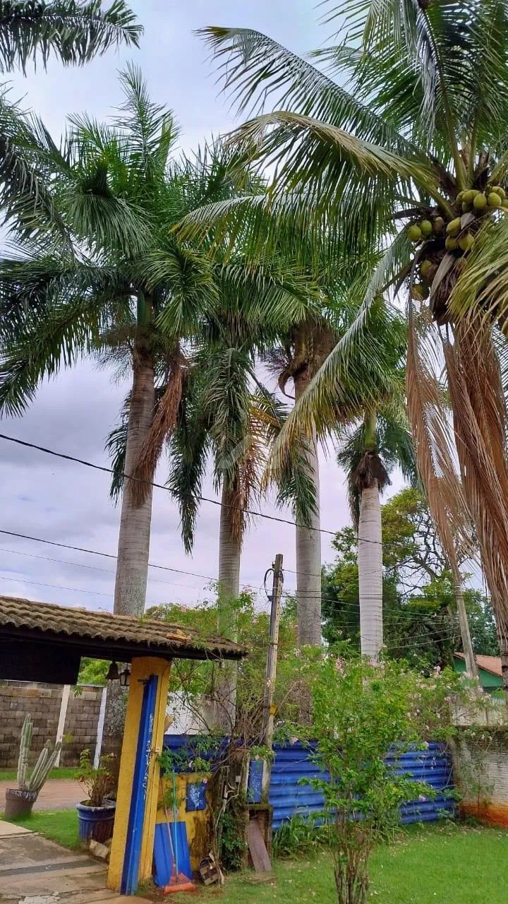 chácara - Residencial Burato - Campinas - Foto 4