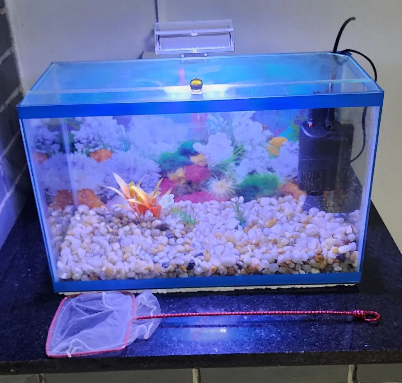 Aquário completo 28 litros - Foto 2