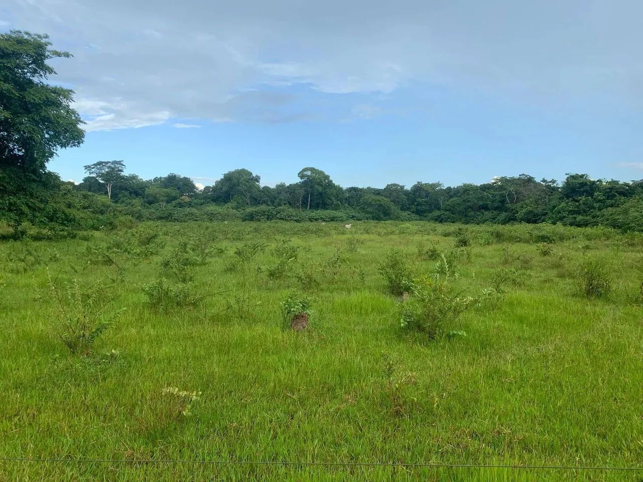 Fazenda em Ribeirão Cascalheira - MT - Foto 5