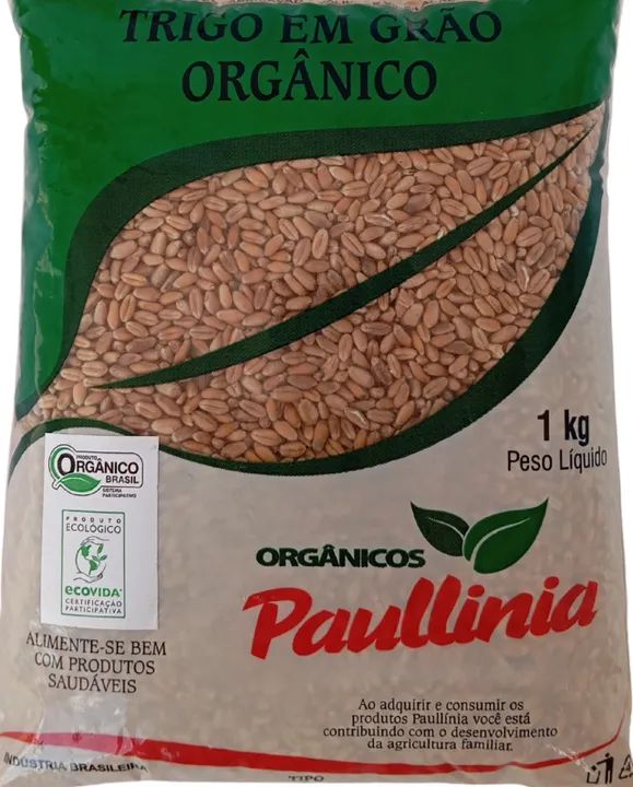 Trigo em Grão Orgânico Paullinia 1kg - Foto 2