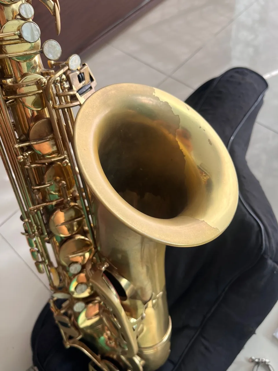 Sax tenor shelter
