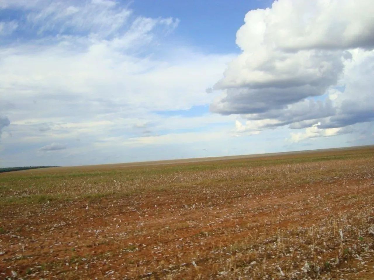 Fazenda 15.912 hect a 150k. De nova Ubiratan MT.  700 milhões. - Foto 4