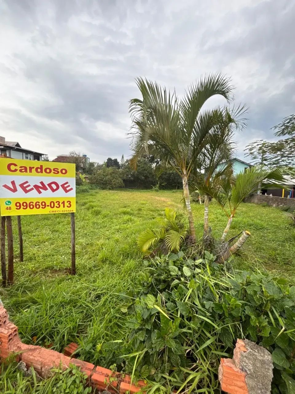 Terreno no Bairro Rio Tavares com Escritura Pública