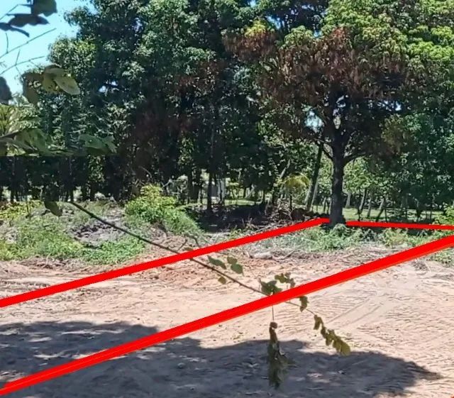 Foto - Marechal Deodoro - 