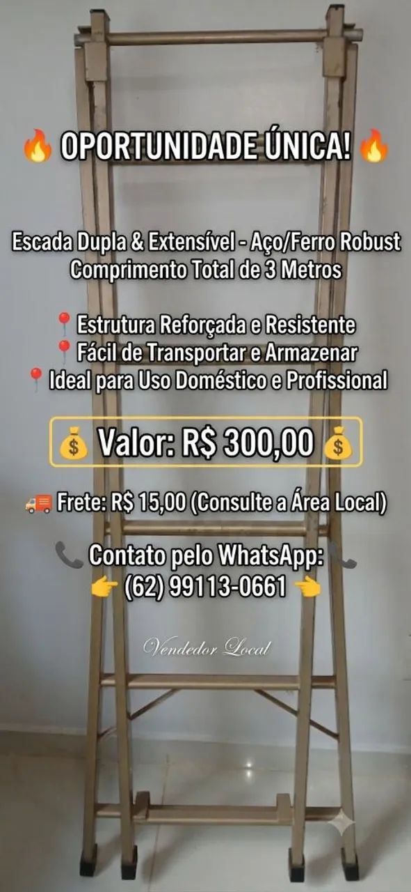 Escada de aço/ferro dupla/extensível de 3m