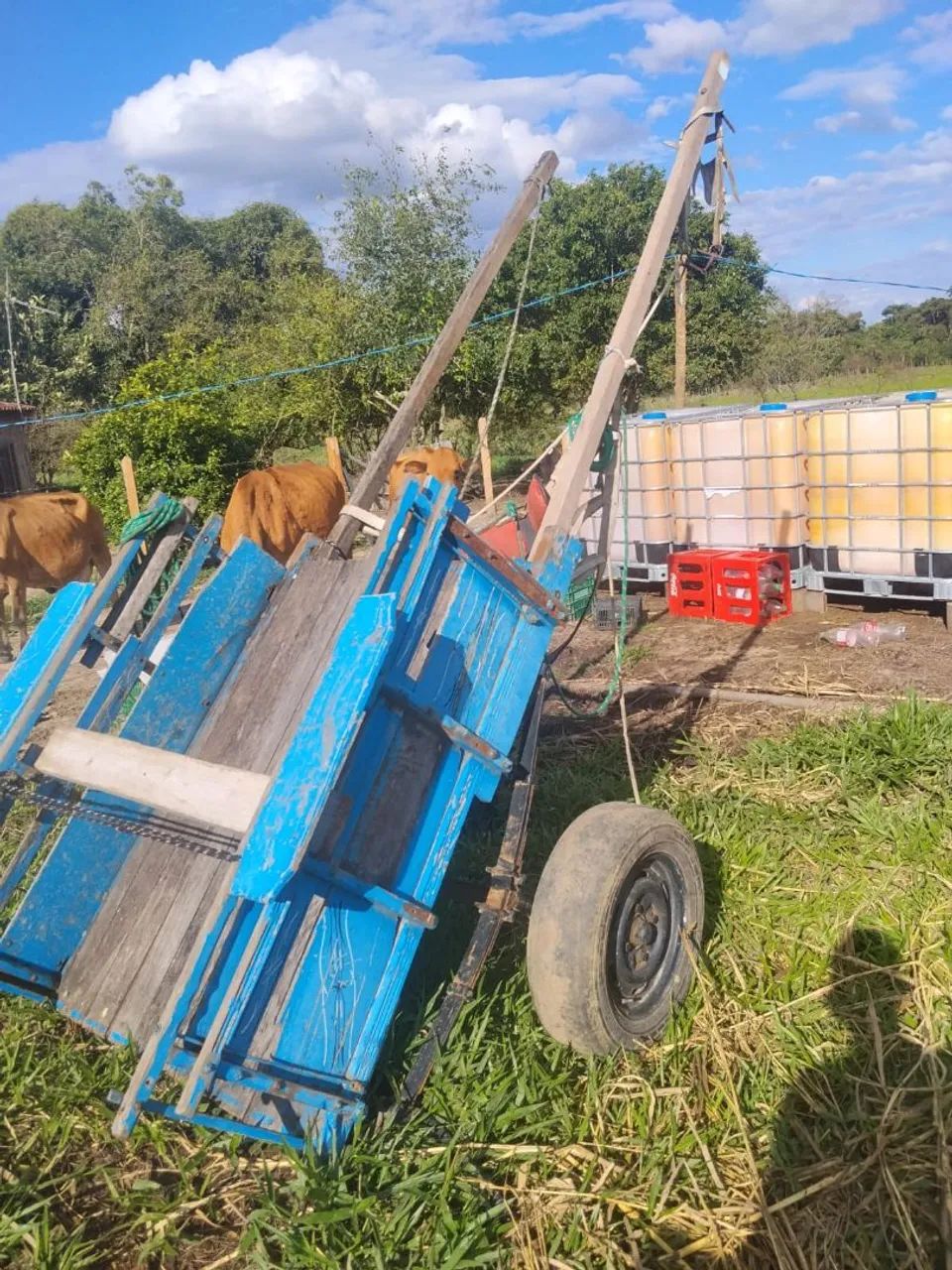 Carretinha e carroça  - Foto 3