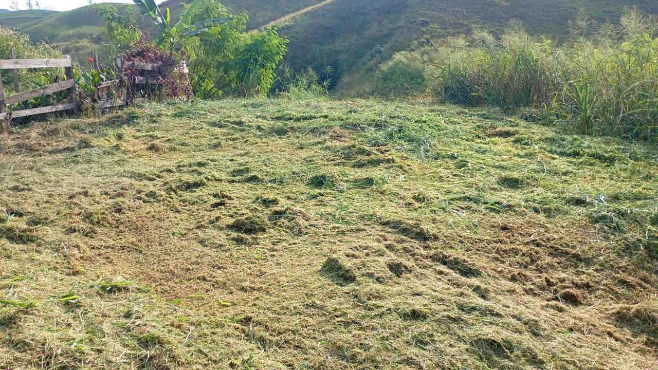 Chácara  - Foto 4