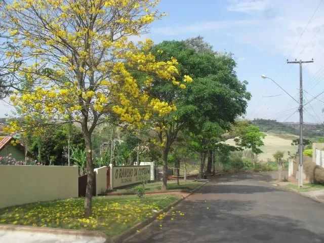 Foto - Rolândia - Jardim Novo Horizonte