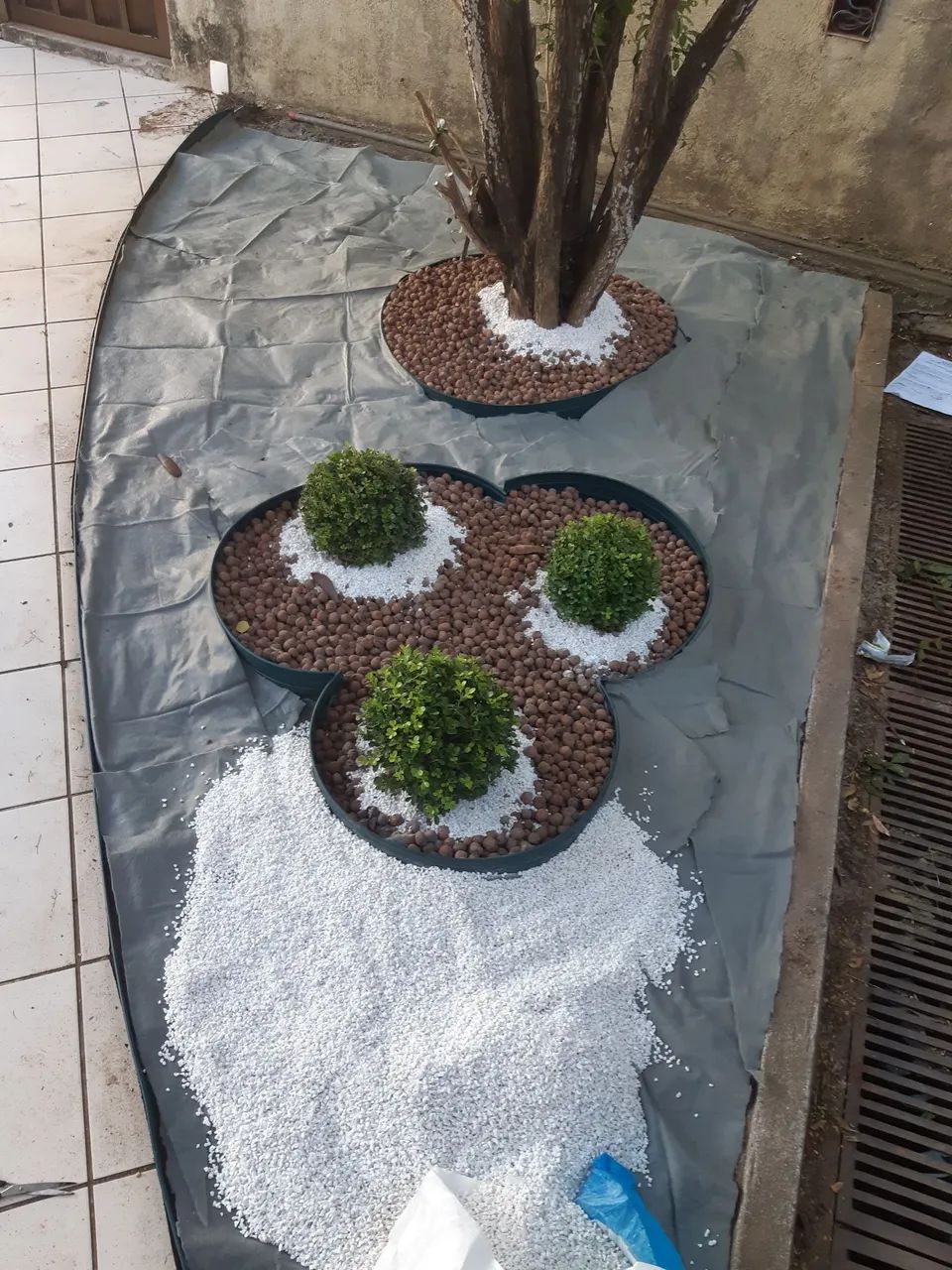 Jardinagem sou jardineiro  - Foto 3