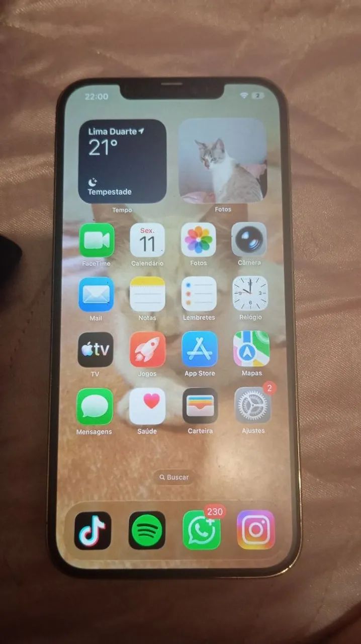 iPhone 12 pro Max 