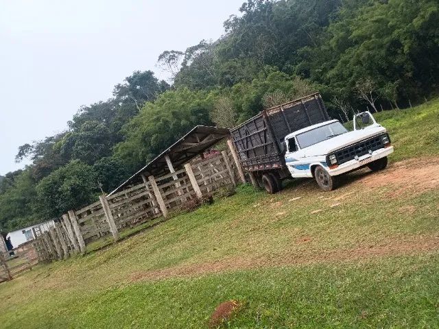 F350  - Foto 3