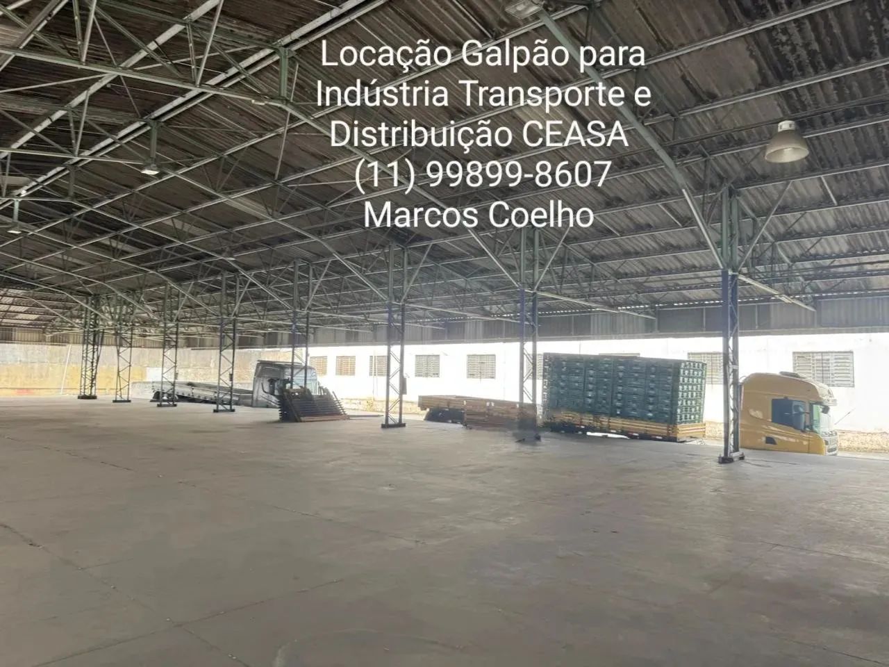 LEOPOLDINA CEASA - Foto 10