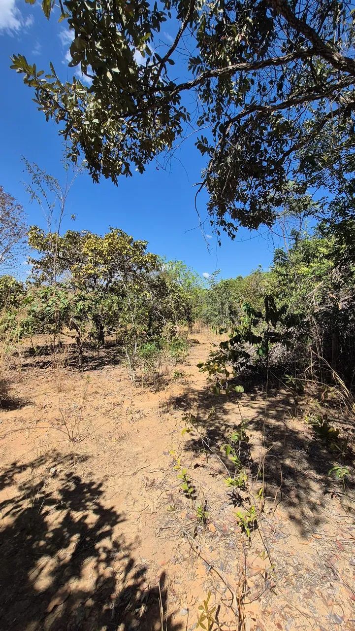Terreno em Cavalcante Chapada dos veadeiros - Foto 3