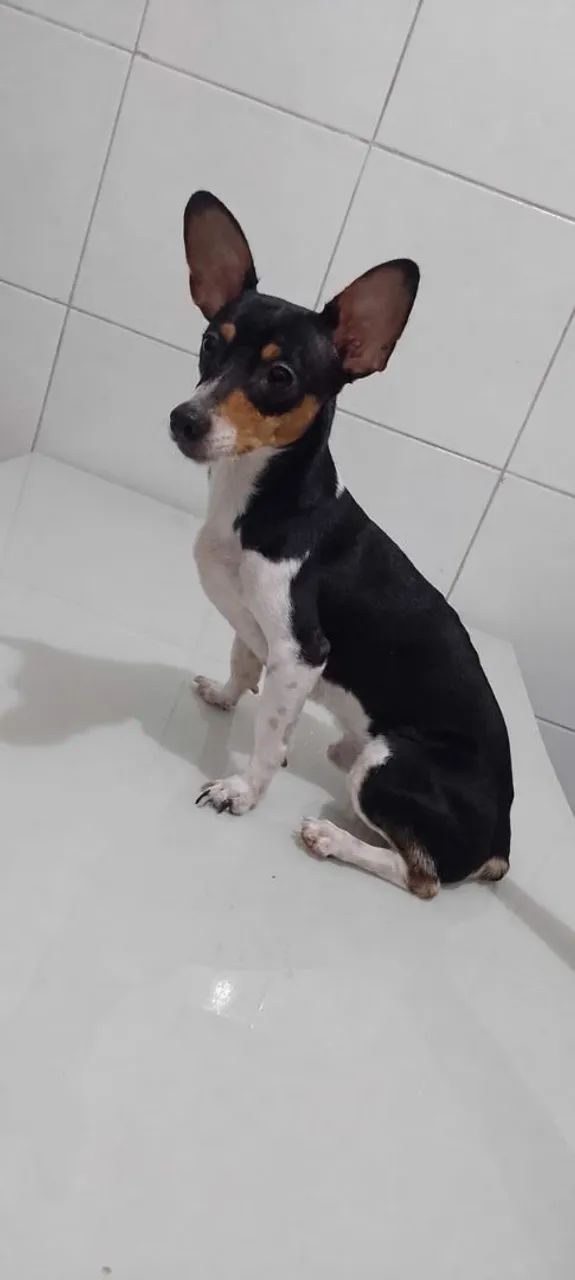 O mais lindo de hoje! 