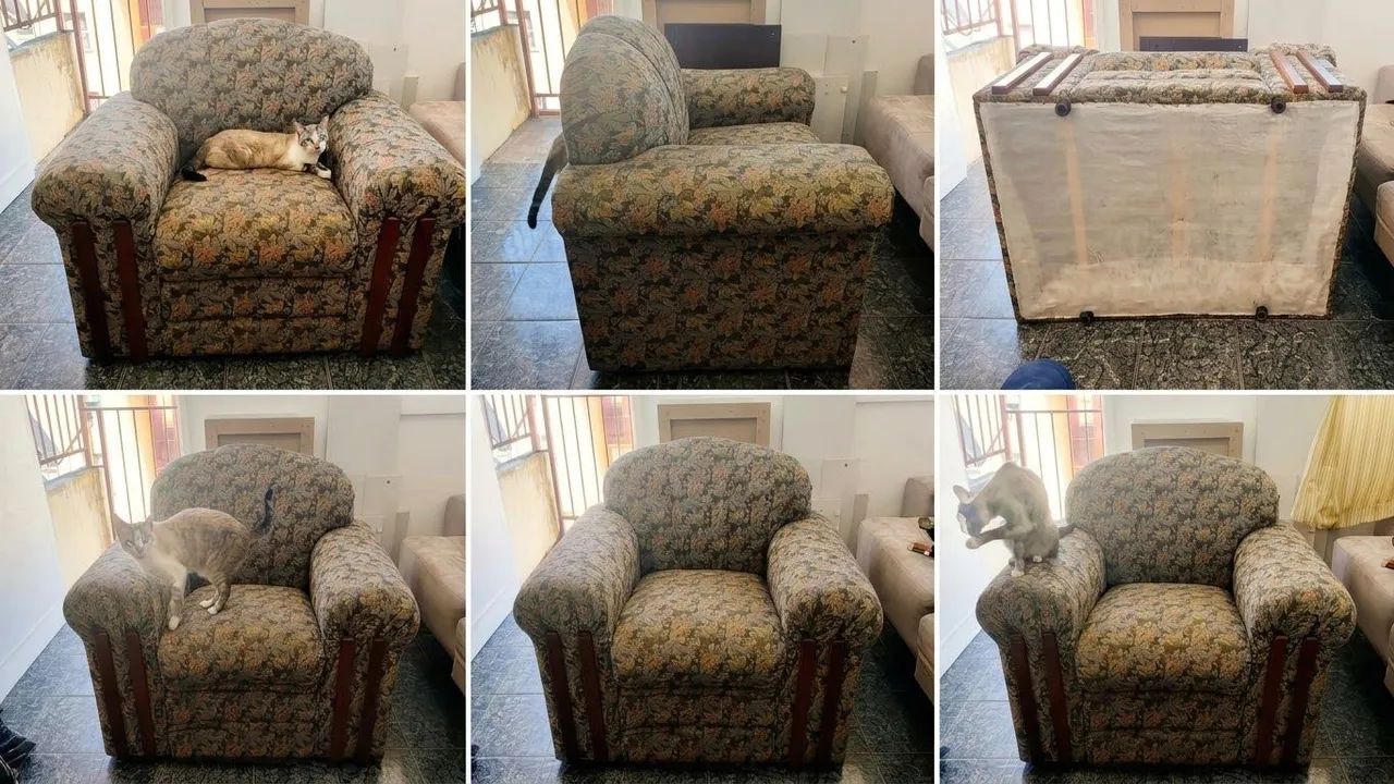 Poltrona encorpada e confortável de estilo clássico/vintage