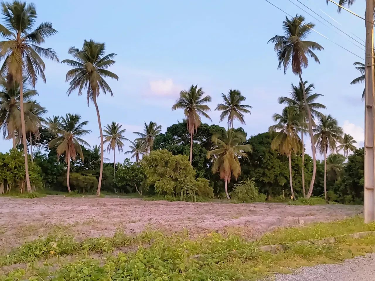 Lotes em Porto de Galinhas! - Foto 4