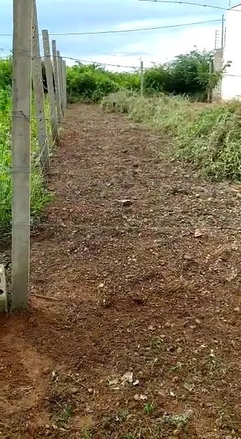 Terreno na cidade de PICOS - Foto 2