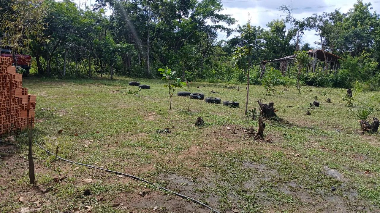 Vendo Terreno bom para sítio  - Foto 4