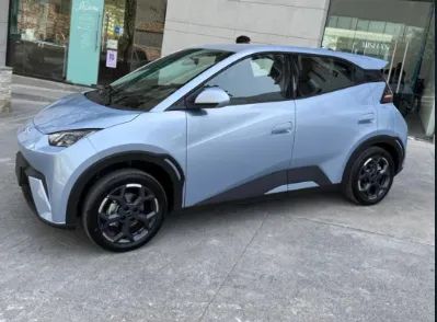 BYD Dolphin Mini (Elétrico) 2027 - Foto 3