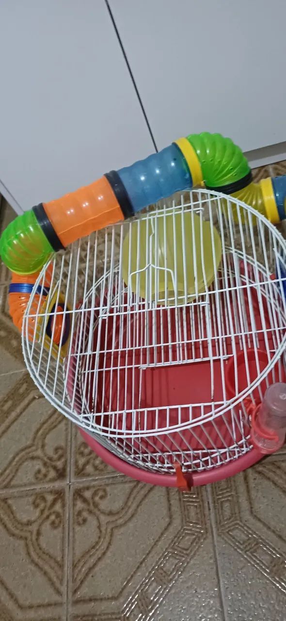 Gaiola para Hamster usada - Foto 2