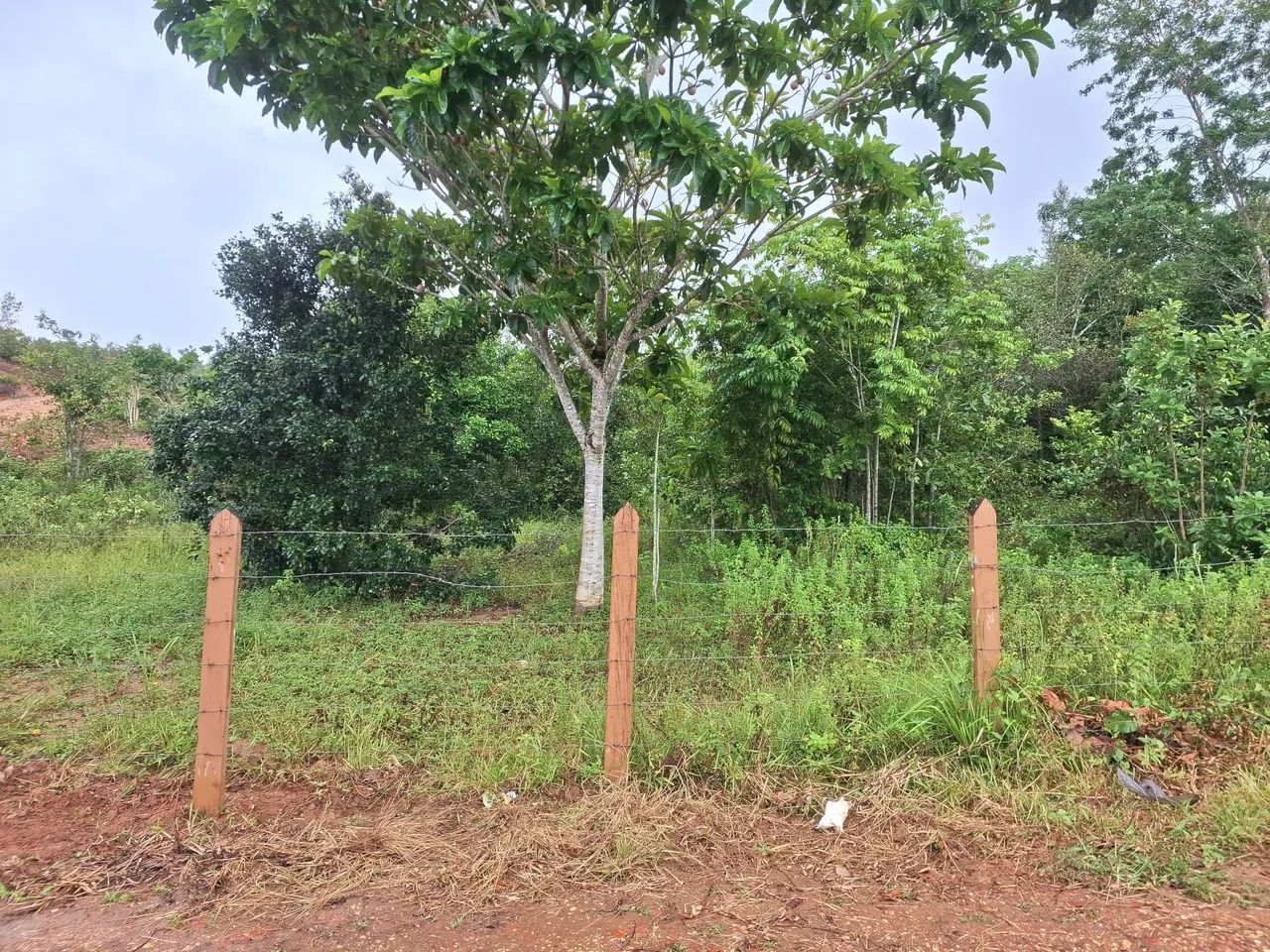 Terreno em São Cristóvão Povoado Timbô  - Foto 3