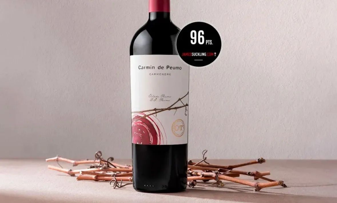 Vinho Carmin de Peumo KIT 6UND  - Foto 4