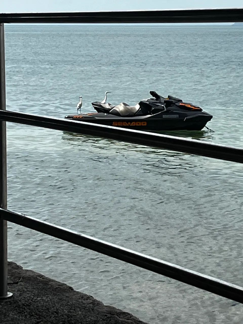 JET SKY C.o.t.a - Foto 3