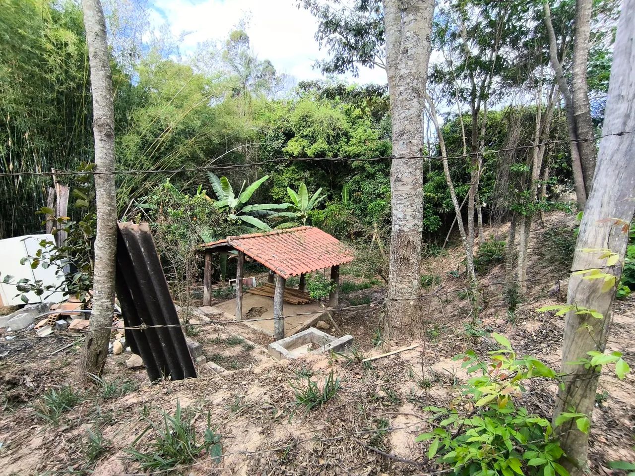 Vendo sítio em Taquaraçu  - Foto 5