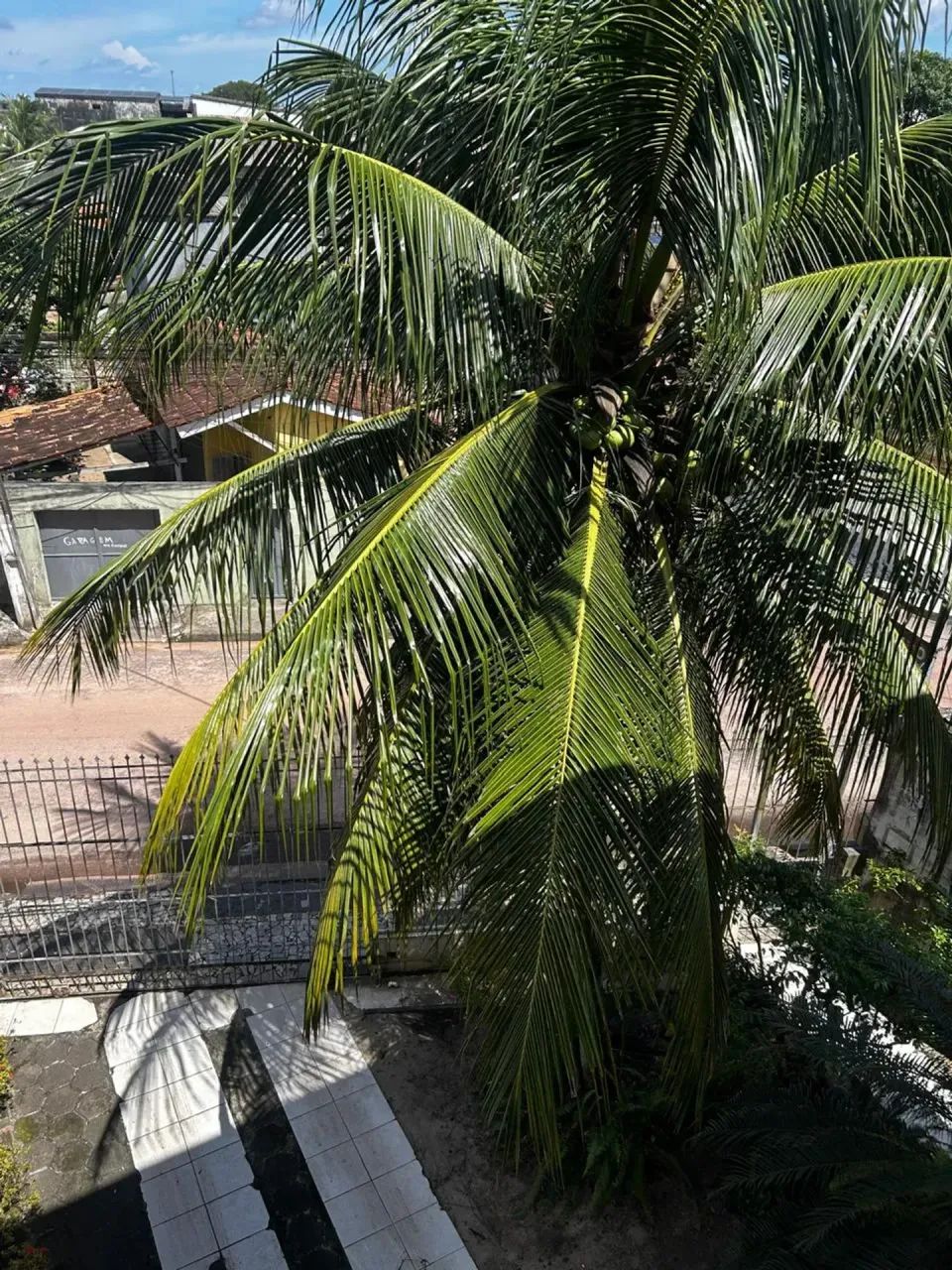 ALUGA-SE PRÉDIO COMERCIAL 350 m2 em Atalaia - Ananindeua - PA - Foto 5
