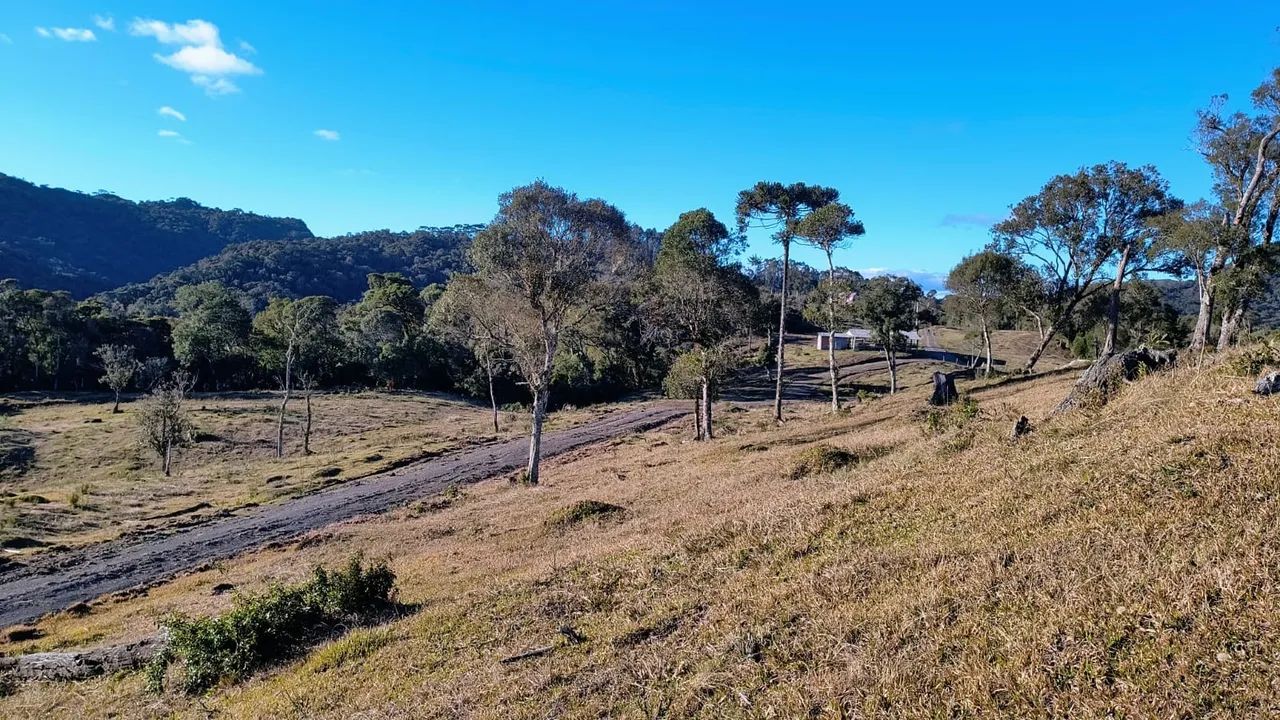 Vendo Área com 60.000 m2 / 6 Hectares - Foto 3