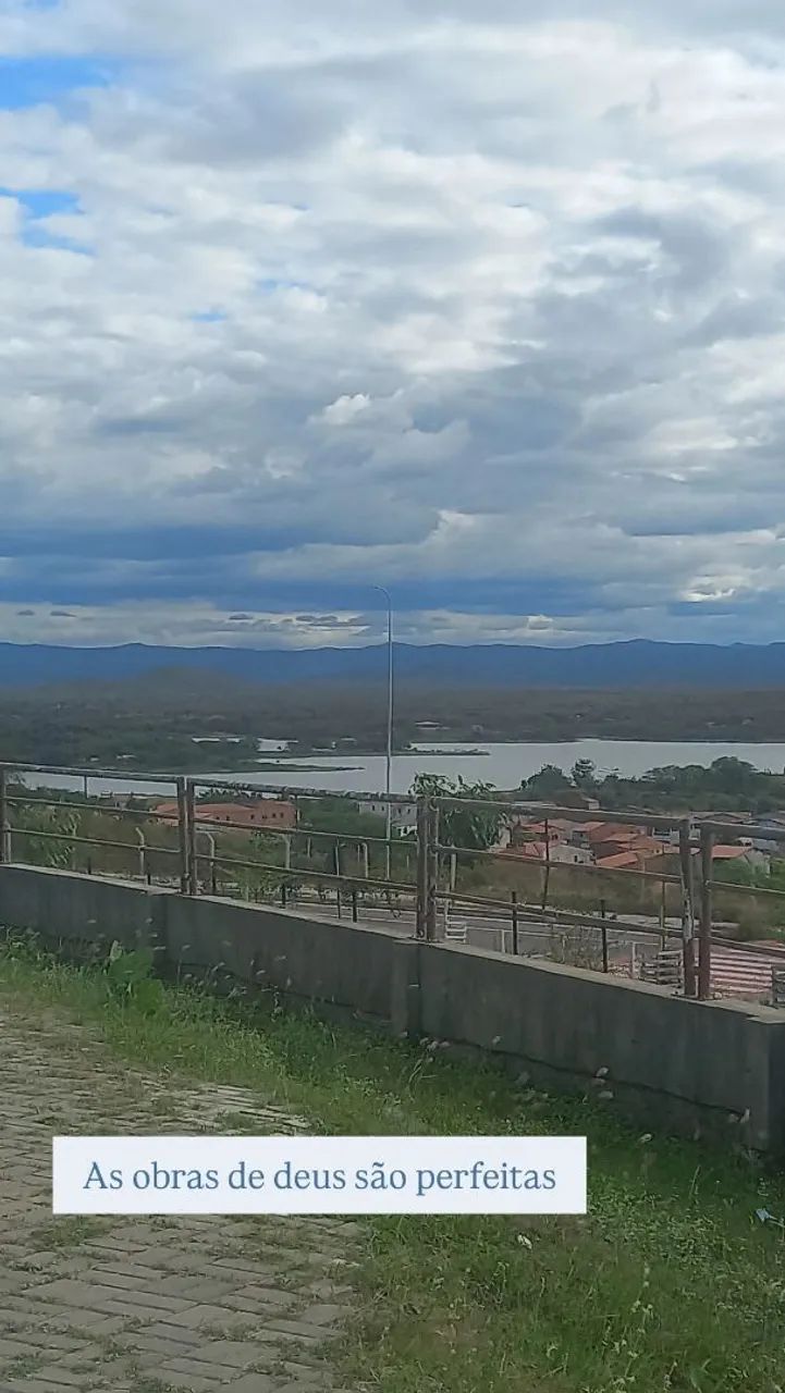 Faxina