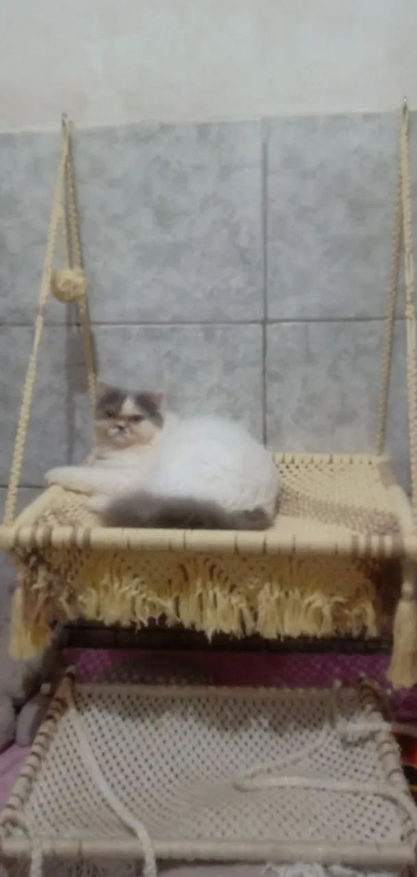 Cama macramé suspensa pra gatos