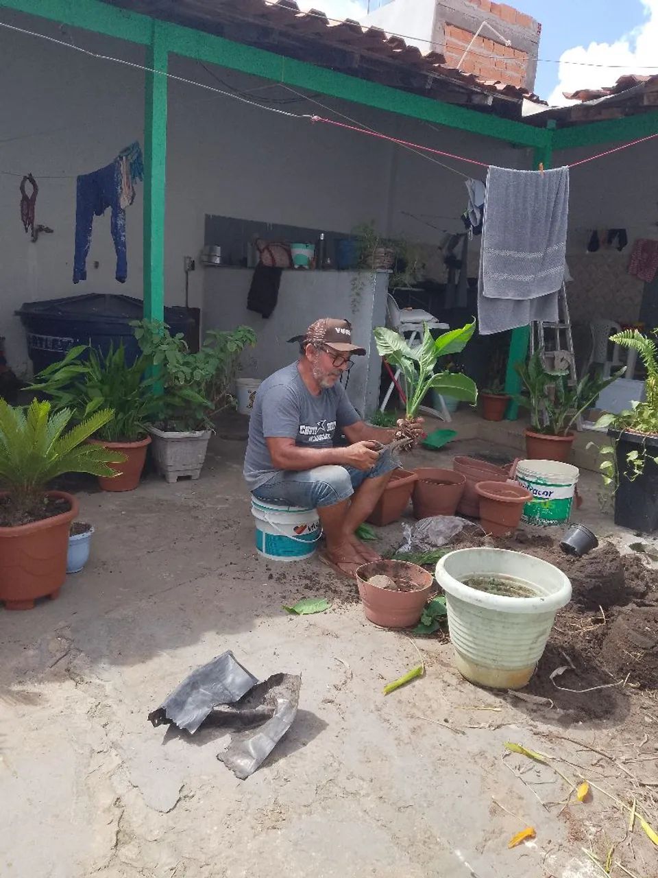 PLANTAS SERVÇOS E JADINAGENS