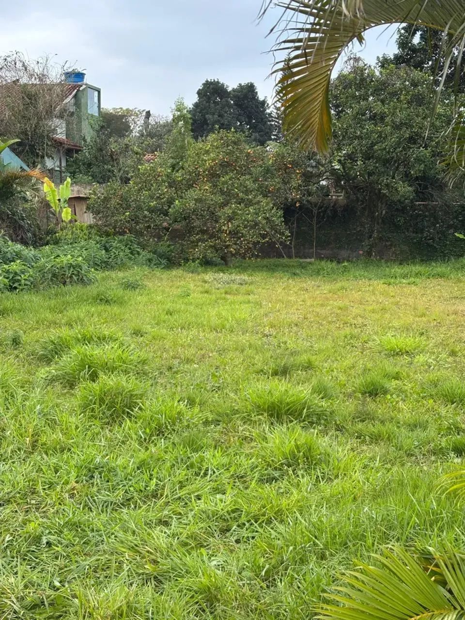 Terreno no Bairro Rio Tavares com Escritura Pública - Foto 2