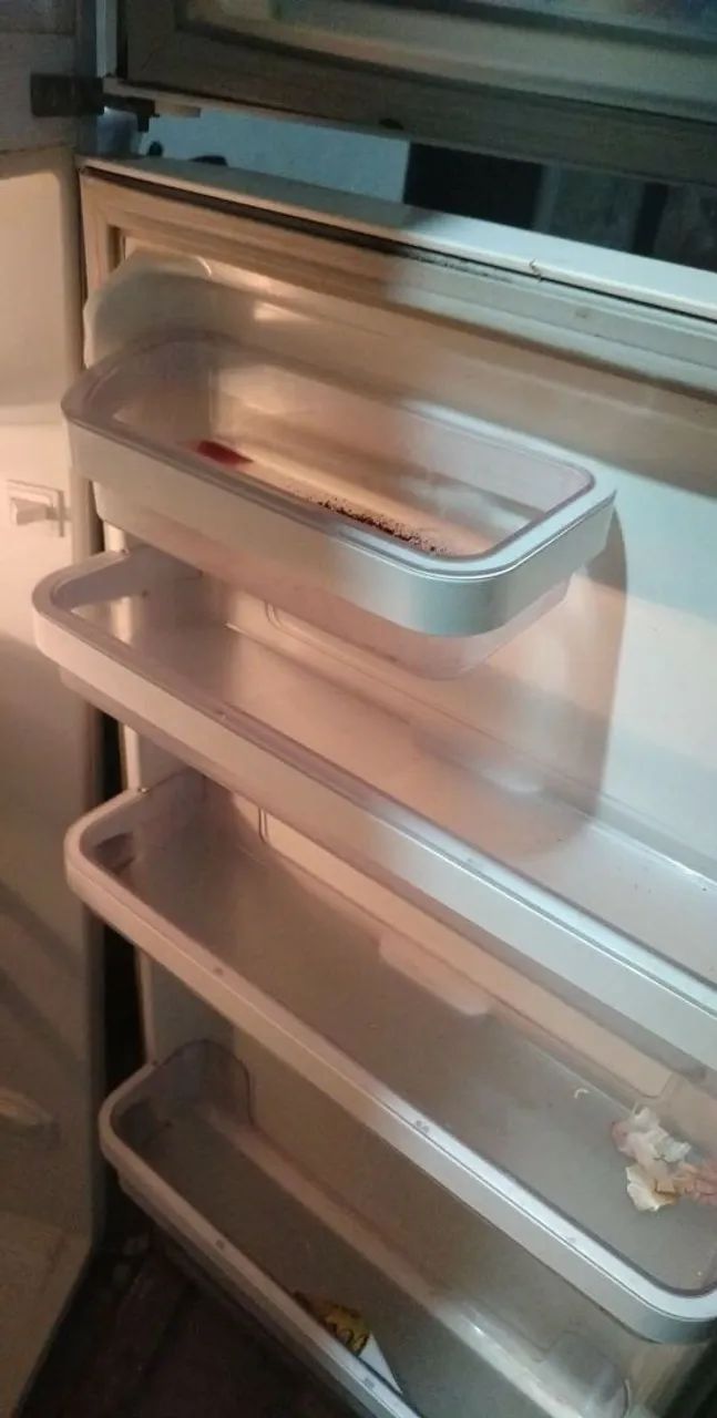 Geladeira Eletrolux 250 com variação  - Foto 4
